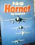 Combat Aces: F/A-18 Hornet (Combat Aces Series)