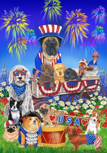 Patriotic USA Firework Star Stripes Dog Garden Flag 12 x 18