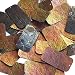 Sequin Bronze Gold Iridescent Brown Rectangle 1.5 inch Tooled Leather Effect Couture Loose Paillettes. Made in USA.