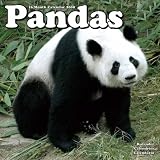Pandas 2009 Wall Calendar 12 X 12