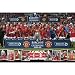 Manchester United Premier League 08/09 Champions Poster