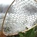 Brodin Ghost Replacement Net Bag