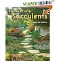 Designing with Succulents