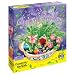 Enchanted Fairy Garden Kit