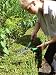 Alan Titchmarsh Hedge Shears with Wavey Blades