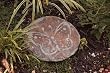 3 Assorted Winged Companions Slate Garden Stones