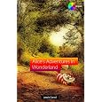 Detalles del producto