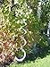 In the Breeze Mylar Spinner Silver Sparkle Sparkle Sprite — 32