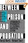 Between Prison and Probation: Intermediate Punishments in a Rational Sentencing System