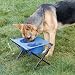 Kitchen & Housewares : Guardian Gear Camp Canine Travel Diner (Blue)