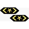 Air Force Star Logo - 2 FOR THE PRICE OF ONE!!! - Embroidered Iron On or Sew On Military Patches