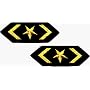 Air Force Star Logo - 2 FOR THE PRICE OF ONE!!! - Embroidered Iron On or Sew On Military Patches