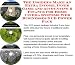 The Insider's Make An Extra Income, Inner Game and Accounting & Finance for Home Cinema Systems Web Businesses 3 CD Power Pack