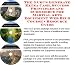 Search : The Guru's Generate Extra Cash, Sucess Principles and eCommerce for Martial Arts Equipment Web Biz 3 Course + Resource Guide