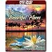DVD : Living Landscapes: The World's Most Beautiful Places [HD DVD]