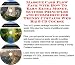 Search : Massive Cash Flow Pack with How To Earn Extra Money, Success Principles and eCommerce for Trendy Curtains Web Biz 3 CD Course