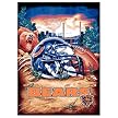 Chicago Bears Woven Tapestry Throw
