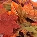 Factory Direct Craft Autumn Splendour Artificial Maple Leaves Accented with Copper Glitter for Fall Decorating