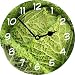 Rikki KnightTM Savoy Cabbage Art Large 11.4 Wall Clock - Ideal Gift for all Occassions