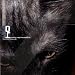 Proem-Songs 4 The City Bus