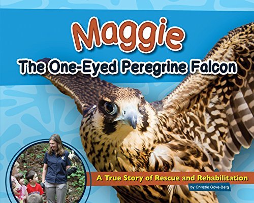 Maggie the One-Eyed Peregrine Falcon: A True Story of Rescue and Rehabilitation (Wildlife Rescue Stories)