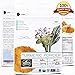 Organic Turmeric Root Powder by Superfood Harvest® - 1 Pound - 100% USDA Organic, Certified Non GMO, Grade AAA Highest Quality, Fine Ground