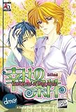 Conditions Of Happiness (Yaoi Manga)