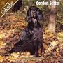 Gordon Setter 2008 Wall Calendar