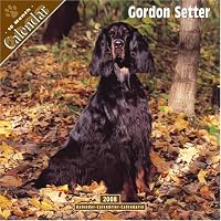 Gordon Setter 2008 Wall Calendar