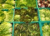 ARMED FORCES RECIPE SERVICE Cards: VEGETABLES