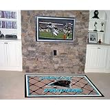 Fanmats Carolina Panthers 4x6 Rug
