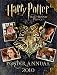 Harry Potter: Poster Annual 2010
