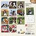 Basset Hound Puppies 2016 Calendar