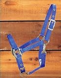 Hamilton Deluxe 3/4 Arabian Nylon Horse Halter