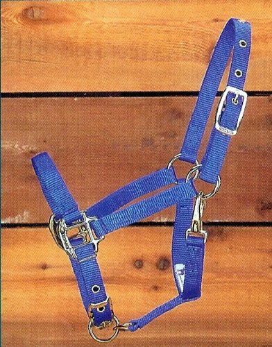 Hamilton Quality 3/4 Nylon Horse Halter with Adjustable Chin and Snap, Assorted Size and Color