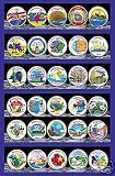 1999 - 2007 45 Colorized State Quarter Set with Album Map