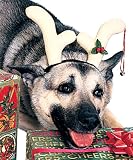 Christmas Costumes for dogs - Dog Reindeer Antlers
