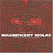 Magnificent Molas: The Art of the Kuna Indians