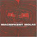Magnificent Molas: The Art of the Kuna Indians