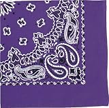 Purple Trainmen Paisley Bandana (22