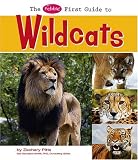 The Pebble First Guide to Wildcats (Pebble First Guides)