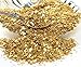 Meyer Imports Crushed Glass Glitter for Arts and Crafts | Broken Glass Gold Fusion German Glitter for Resin Craft Art/Tumblers/Nail Art/DIY Jewellery Making Decoration - 1 oz