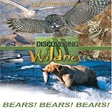Discovering Wildness - Bears, Bears, Bears