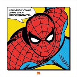 Spider-Man - Marvel Comic Poster / Art Print (With Great Power...) (Size: 16" x 16")