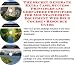 Book The Down and Dirty How To Earn Extra Money, Marketing and Success Principles for Mountaineering Equipment Internet Businesses 3 CD Power Pack