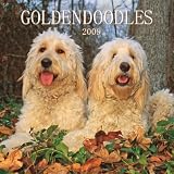 Goldendoodles 2009 Wall Calendar 12 X 12