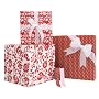 Gift Wrap Company Red, White And Wow Gift Wrap And Ribbon Assortment Kit
