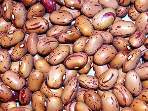 Vermont Cranberry Bean