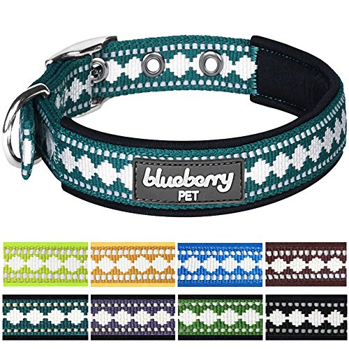 Blueberry Pet 1-Inch Classic Solid Neoprene Dog Collar with Jacquard Pattern, Large, Teal Blue