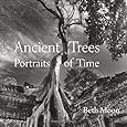 Ancient Trees: Portraits of Time